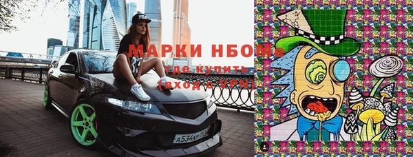 шишки Баксан