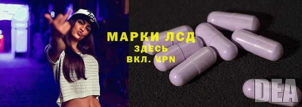 шишки Баксан