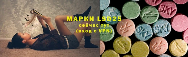 шишки Баксан
