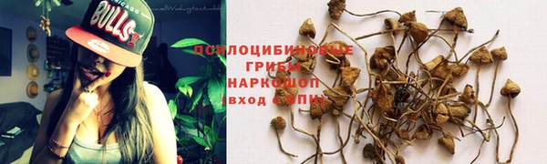шишки Баксан